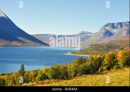 Montagna e foresta sul mare Foto Stock