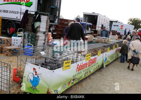 Foto di stock di pollame in vendita sulle bancarelle del mercato al Les Herolles mercato degli agricoltori nella regione Limousin Francia. Foto Stock