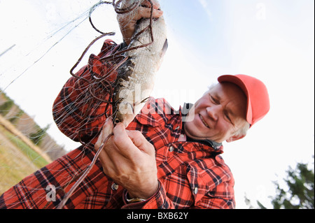 Fisherman tenendo fuori pesce dalla rete da pesca Foto Stock