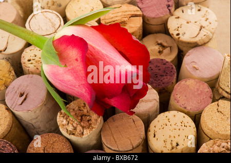 Romantica rosa sul utilizzati tappi in sughero da bottiglie di vino Foto Stock