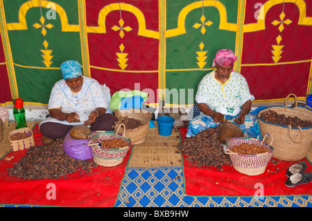Donne berbere lavorando in una cooperativa di Marjana la produzione di olio di Argan in un villaggio vicino a Essaouira, Marocco. Foto Stock