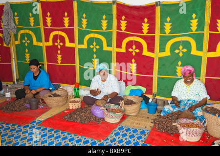 Donne berbere lavorando in una cooperativa di Marjana la produzione di olio di Argan in un villaggio vicino a Essaouira, Marocco. Foto Stock