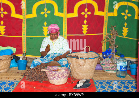 Donne berbere lavorando in una cooperativa di Marjana la produzione di olio di Argan in un villaggio vicino a Essaouira, Marocco. Foto Stock