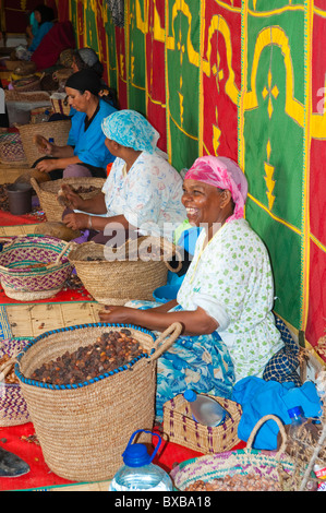 Donne berbere lavorando in una cooperativa di Marjana la produzione di olio di Argan in un villaggio vicino a Essaouira, Marocco. Foto Stock