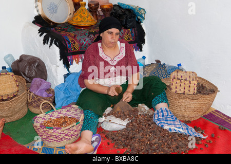 Donne berbere lavorando in una cooperativa di Marjana la produzione di olio di Argan in un villaggio vicino a Essaouira, Marocco. Foto Stock
