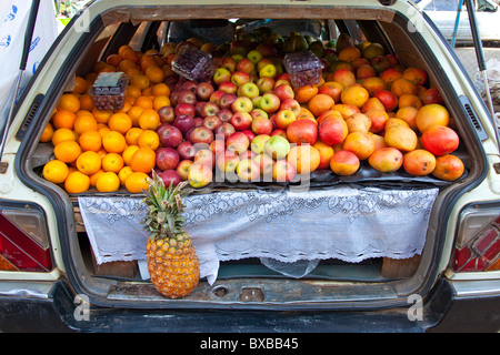 Fornitore per la vendita di frutta dal tronco della sua vettura, Nairobi, Kenia Foto Stock