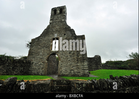 Mellifont Abbey, nella contea di Louth, Leinster, Repubblica di Irlanda Foto Stock