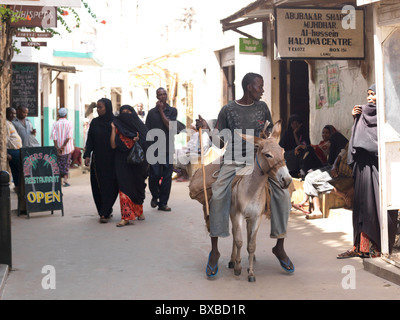 Uomo che cavalca il suo asino nella città di Lamu, Africa Foto Stock