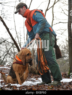 hunter circa per rintracciare un cervo ferito nella foresta tedesca Foto Stock