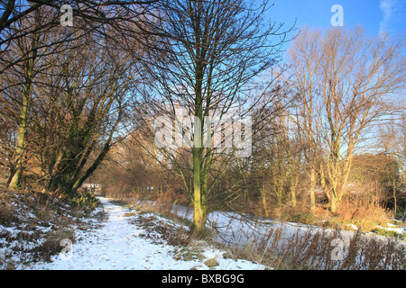 Inverno scene Parkland Nottingham Inghilterra Foto Stock