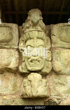 Maya scolpito Jaguar Sun Dio faccia sulla parete della Corte Est, Copan, Honduras. Copan è un sito Patrimonio Mondiale dell'UNESCO. Foto Stock