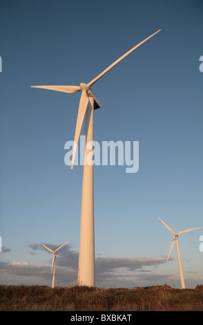 Tre turbine eoliche a Carnsore Point per centrali eoliche, County Wexford, Eire. Foto Stock