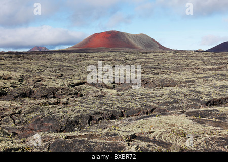 Caldera Colorada vulcano, campo di lava con i licheni, Lanzarote, Isole Canarie, Spagna, Europa Foto Stock