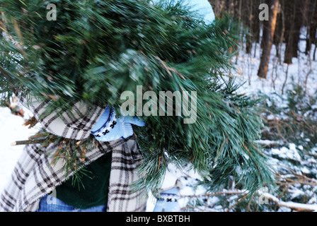 Giovane donna portando rami la preparazione per il Natale Foto Stock