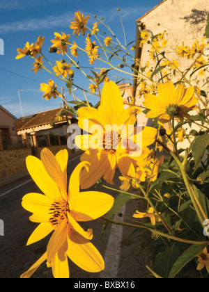 Pratoline strada in un villaggio spagnolo. Foto Stock