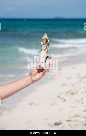 Belize, America Centrale Foto Stock