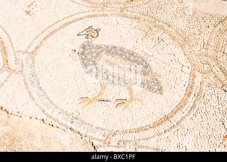 Il palazzo del 'Bird Mosaic" un 14,5 x 16m piano di una villa risalente al periodo bizantino, Foto Stock