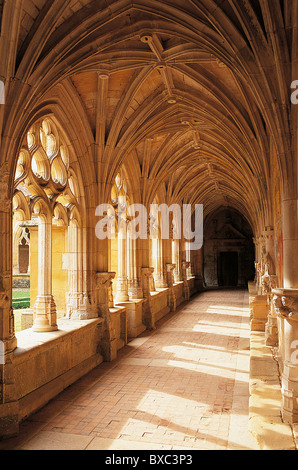 Francia, Perigord, Dordogne, Abbazia di Cadouin, chiostro Foto Stock