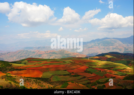Paesaggi di campo nella provincia di Yunnan, a sud-ovest della Cina Foto Stock