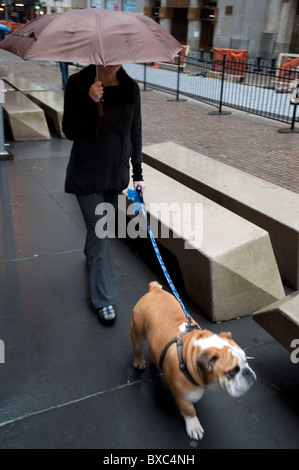 Donna che cammina il suo cane a Manhattan, New York City, U.S.A. Foto Stock