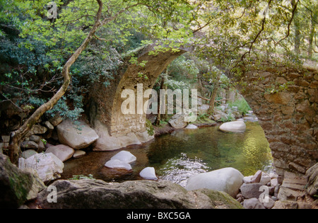 Francia, Corse du Sud Corsica, Corse du Sud, Gole di Spelunca, Ponte Zaglia Foto Stock