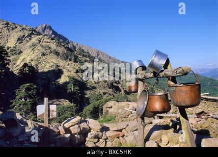 Francia, Corsica, Haute-Corse, GR 20, Col de Vergio dintorni, Ovile di Radule Foto Stock