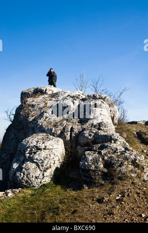 Rovine del Castello (XIV sec.) in Olsztyn, voivodato di Slesia, Polonia Foto Stock