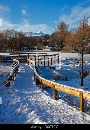 Passerella di legno coperto in inverno la neve, Figgate Park, Edimburgo Scozia UK Europa Foto Stock