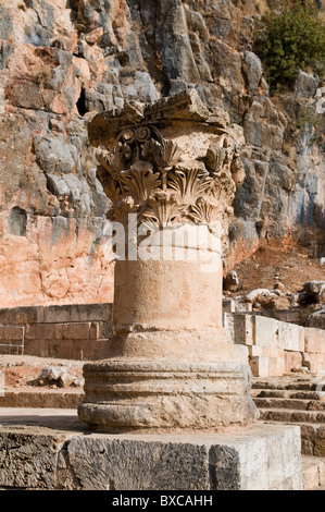 Capitello corinzio del Tempio di Zeus a Cesarea di Filippo 98 BCE. Flusso Hermon riserva naturale e parco archeologico Foto Stock