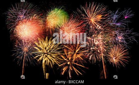 Colorate e luminose fuochi d'artificio contro un nero cielo notturno Foto Stock