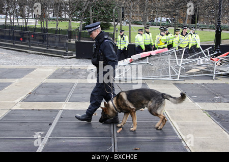 Polizia gestore del cane nella motivazione del Parlamento europeo durante le proteste degli studenti Foto Stock