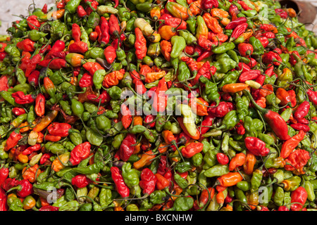 I peperoncini sono in vendita in un mercato a Freetown, in Sierra Leone, Africa occidentale. Foto Stock