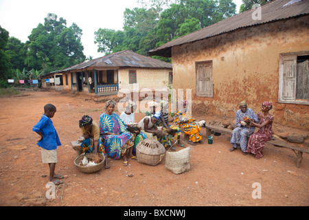 Gli abitanti del villaggio si riuniscono per ricevere le vaccinazioni per i loro polli in Port Loko, Sierra Leone, Africa occidentale. Foto Stock