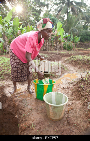 Una donna acque il suo giardino a Port Loko, Sierra Leone, Africa occidentale. Foto Stock