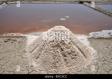 Le saline di produzione Foto Stock