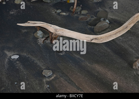 Driftwood sulla spiaggia Foto Stock