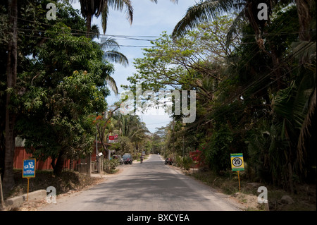Strada rurale attraverso la giungla di Costa Rica, con alberi a sbalzo e cartelli stradali, in fuga la distanza Foto Stock