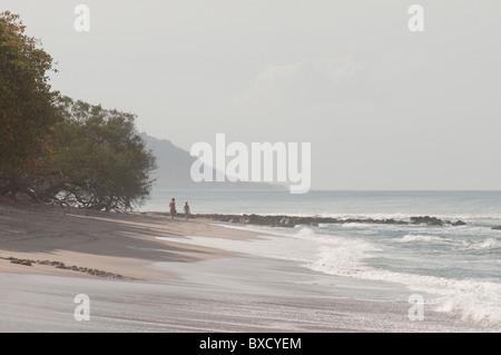 2 figure lontani passeggiare sulla spiaggia sabbiosa con alberi di alto fusto e su un giorno nuvoloso Foto Stock