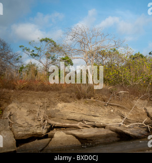 Zona Costiera in Costa Rica Foto Stock