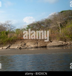 Zona Costiera in Costa Rica Foto Stock