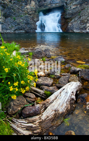 Esecuzione di Eagle Falls con fiori selvatici in primo piano nel Glacier Naional Park, Montana. Foto Stock