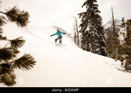 Una femmina di snowboarder delinea alcune tracce fresche mentre lo snowboard a Squaw Valley, California. Foto Stock