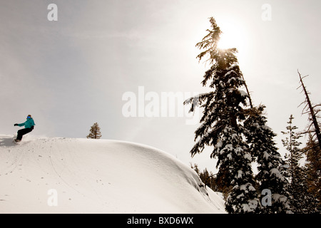 Una femmina di snowboarder delinea alcune tracce fresche mentre lo snowboard a Squaw Valley, California. Foto Stock