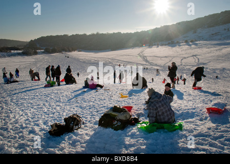 Persone in slittino sulla neve Foto Stock