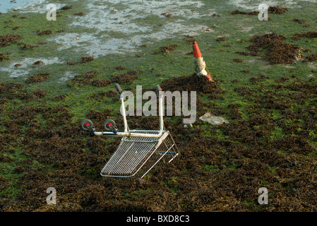 Oggetto di dumping carrello della spesa in tazza Foto Stock