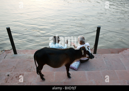Una vacca e due uomini seduti in un ghat del fiume Gange a Rishikesh, Uttarakhand, India. Foto Stock