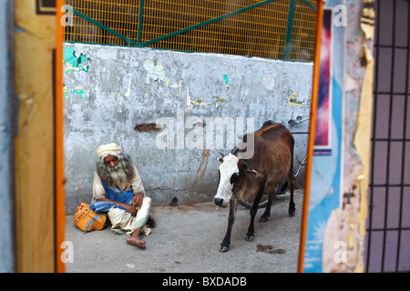 Un riflesso di un sadhu e vacca in uno specchio a Rishikesh, Uttarakhand, India. Foto Stock