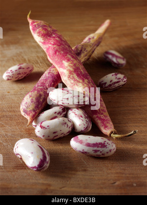 Freschi fagioli barlotti nei loro baccelli Foto Stock