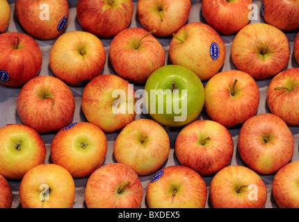 Un vassoio di mele fresche in un supermercato. Foto Stock