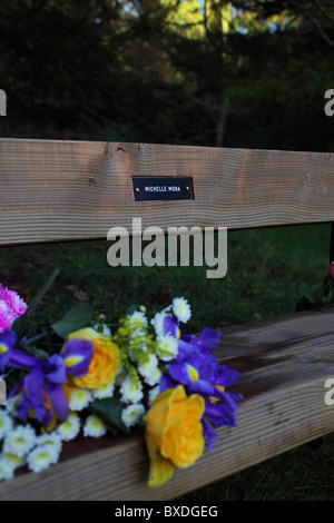 Cirillo Hart Arboretum, Royal Foresta di Dean, nel Gloucestershire. Foto Stock